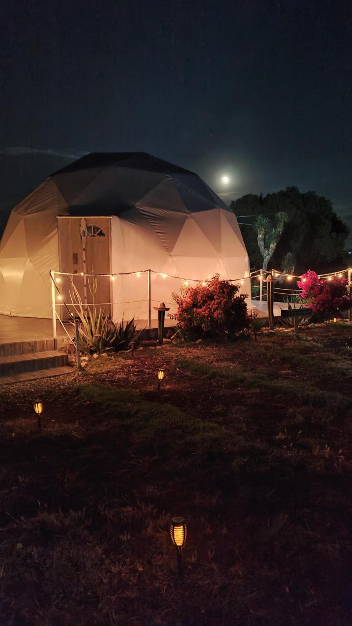 Hotel El Gato Glamping Con Vista A Prismas Basalticos Huasca de Ocampo Exterior foto