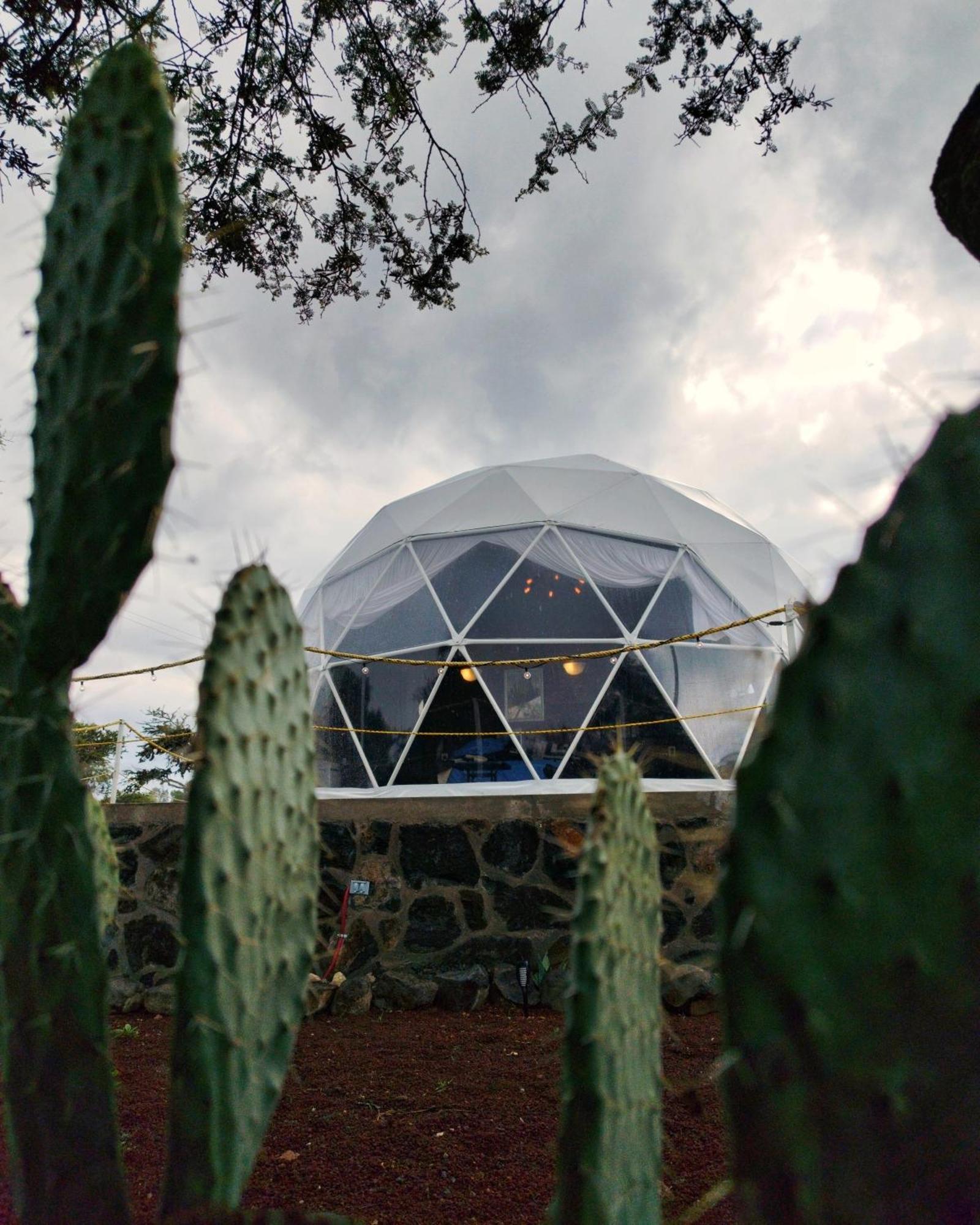Hotel El Gato Glamping Con Vista A Prismas Basalticos Huasca de Ocampo Exterior foto
